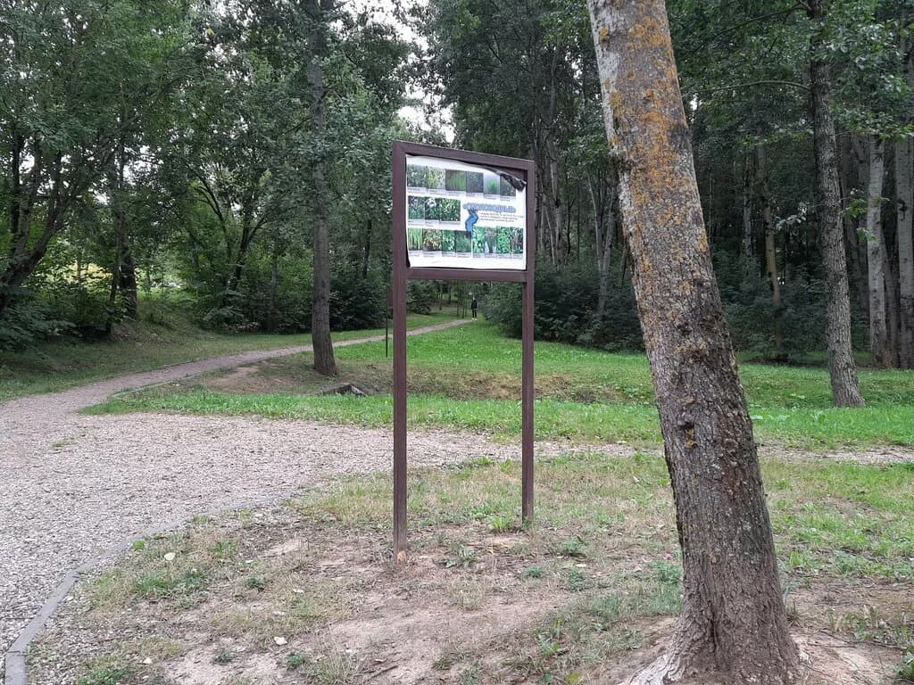 Экотропа Птичья полянка — фото 5