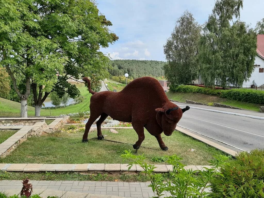 Зубр