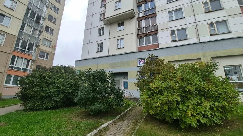 Сигма подготовка к Цт, школе, школьная