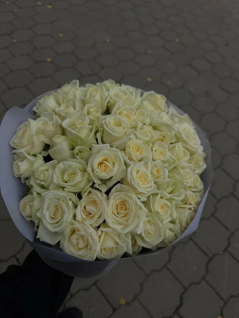 Дари-розы