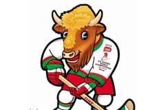 В Минске в ЧМ-2014 откроется около десяти новых автобусных маршрутов
