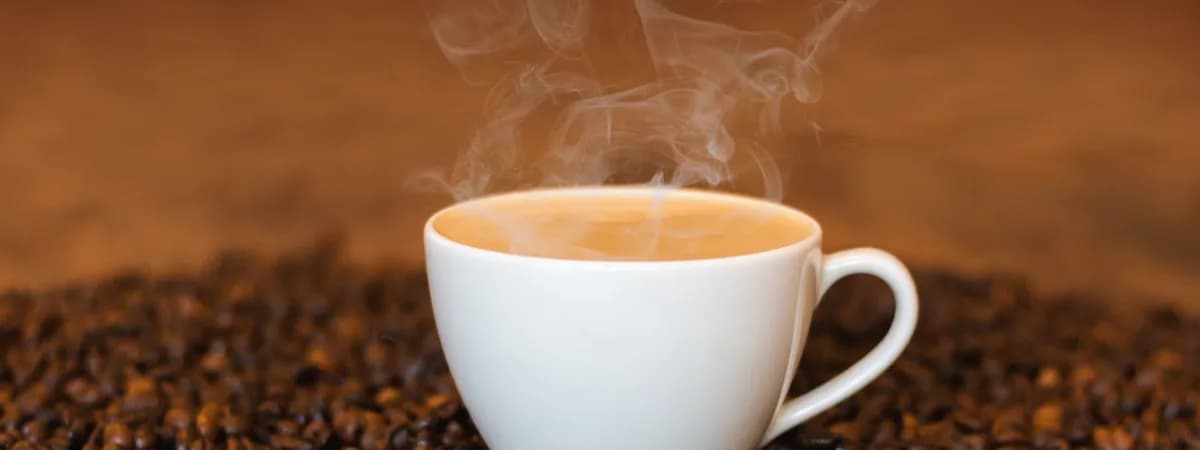 Сотня сортов кофе и 30 мастер-классов. В ТРЦ Galleria пройдет Coffee Fest