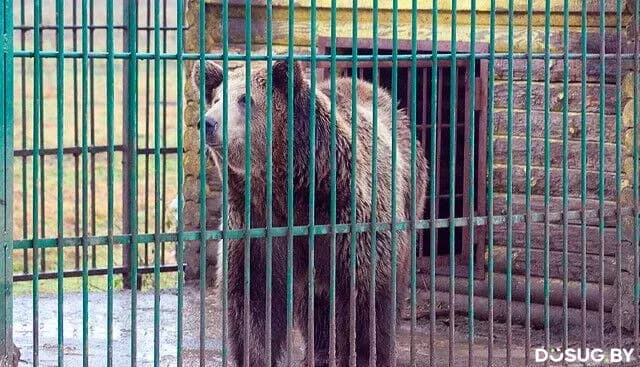 База отдыха «Экзотика»