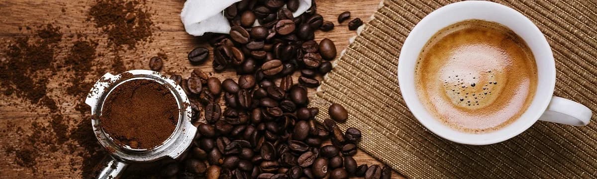 Сеть Cofix открыла флагманскую кофейню в Минске
