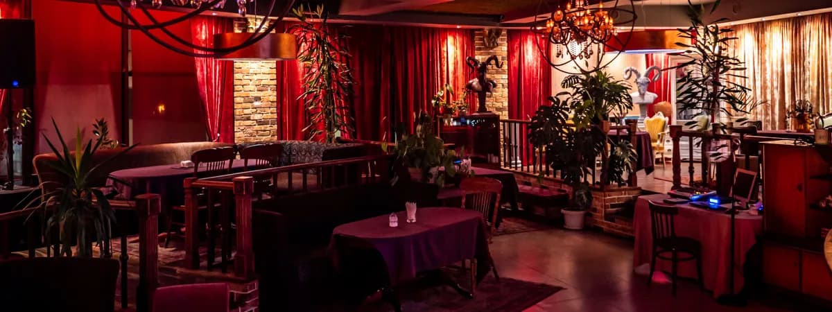 Заведение, которое вас точно удивит. Рассказываем о Jungle Lounge Cafe