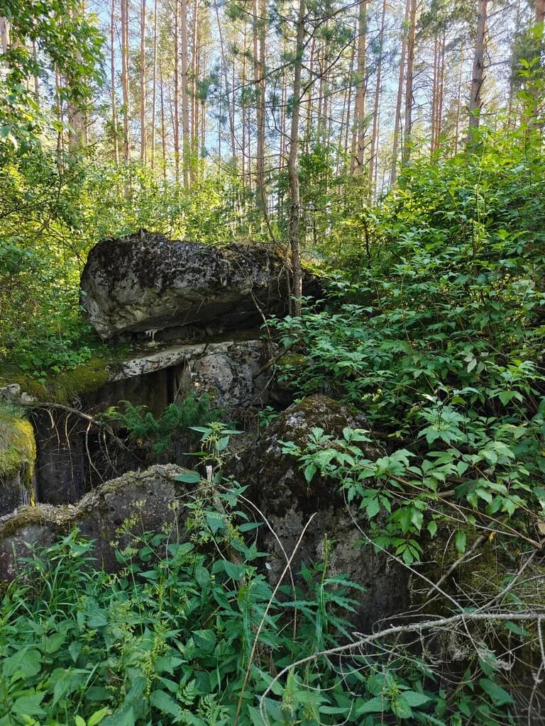 ДОТ № 6