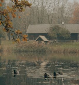 Вязынка – поэтическое сердце Беларуси