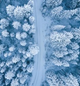 Морозные ночи до -29°C: когда в Беларуси ударят арктические холода и побьют зимние рекорды?