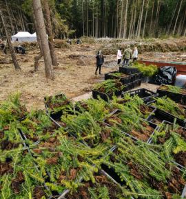 &laquo;Эко Движ. Зелёный сезон&raquo;: A1 собрал 8 000 гаджетов и высадил новый лес в Молодечненском районе