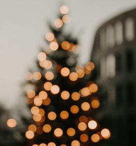 Зимняя сказка приходит в Беларусь: где разместят крупнейшую новогоднюю елку