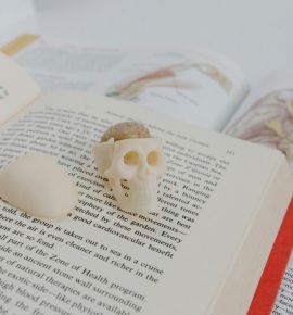 График работы аптек и поликлиник 7 ноября: как будут принимать пациентов в праздничный день