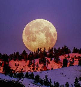 Последнее суперлуние 2025: «Холодная Луна» осветит небо ярче обычного