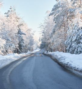 На гольф-поле под Минском открыли бесплатную лыжную трассу