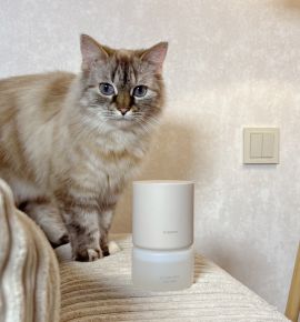 Аромат, который работает сам: умный дуэт аромадиффузора Xiaomi Smart Scent Diffuser и Refill Wood and Tea