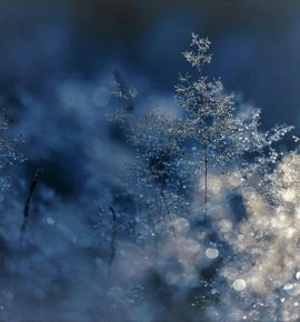 Где искупаться на Крещение в Минске: список официальных купелей