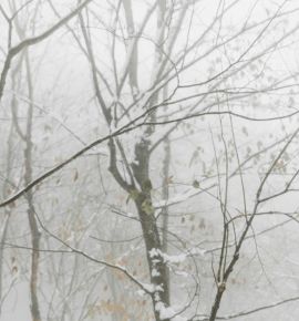 Метание блинов, катание на хаски и фаер-шоу. В Зеленой гавани будут «гукаць вясну»